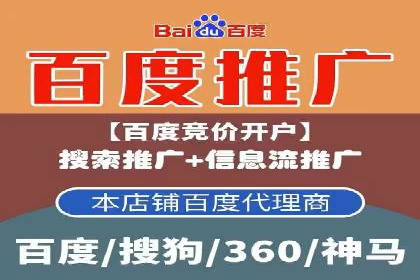 揭秘百度竞价排名：实战案例解析